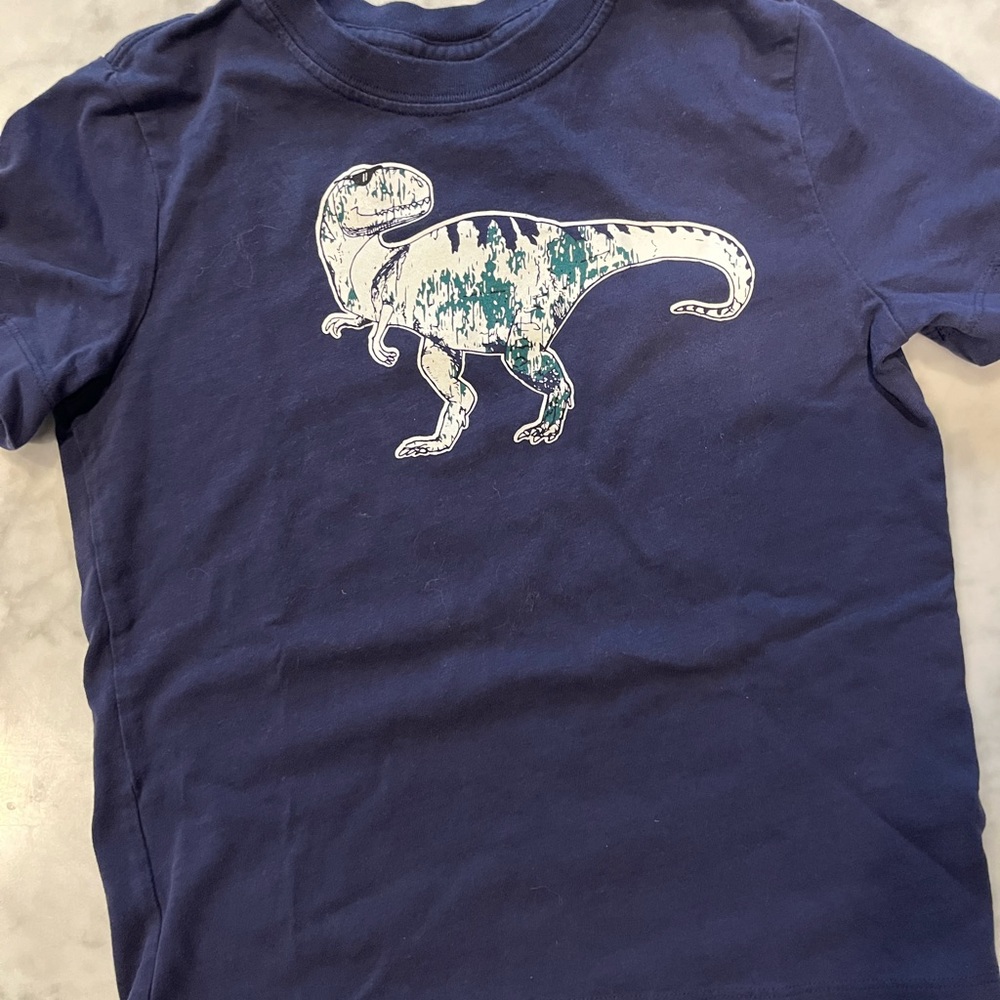 Hanna Andersson Tee